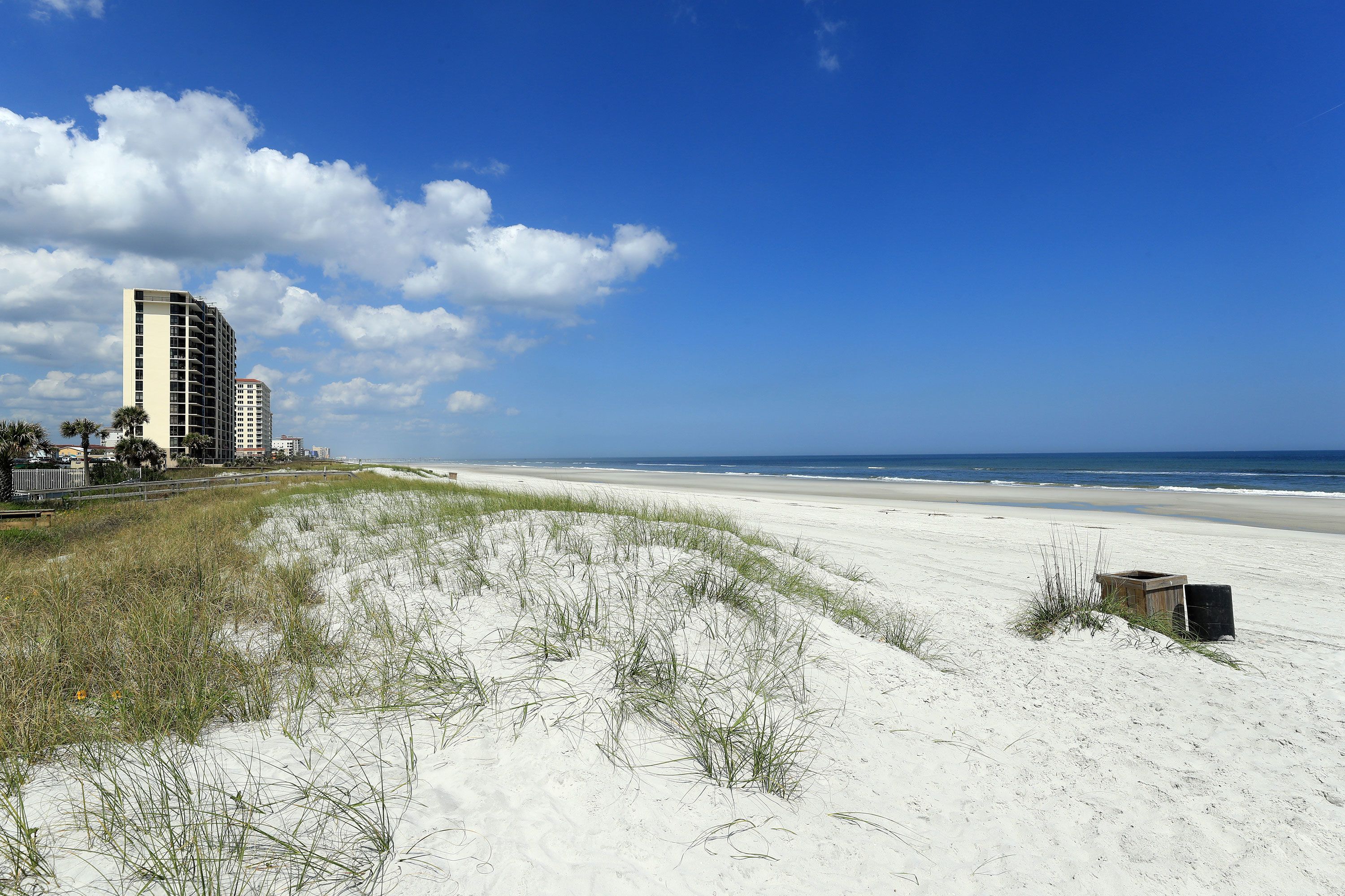 what beaches in jacksonville allow dogs