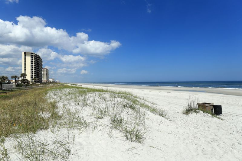 are dogs allowed on jacksonville beach