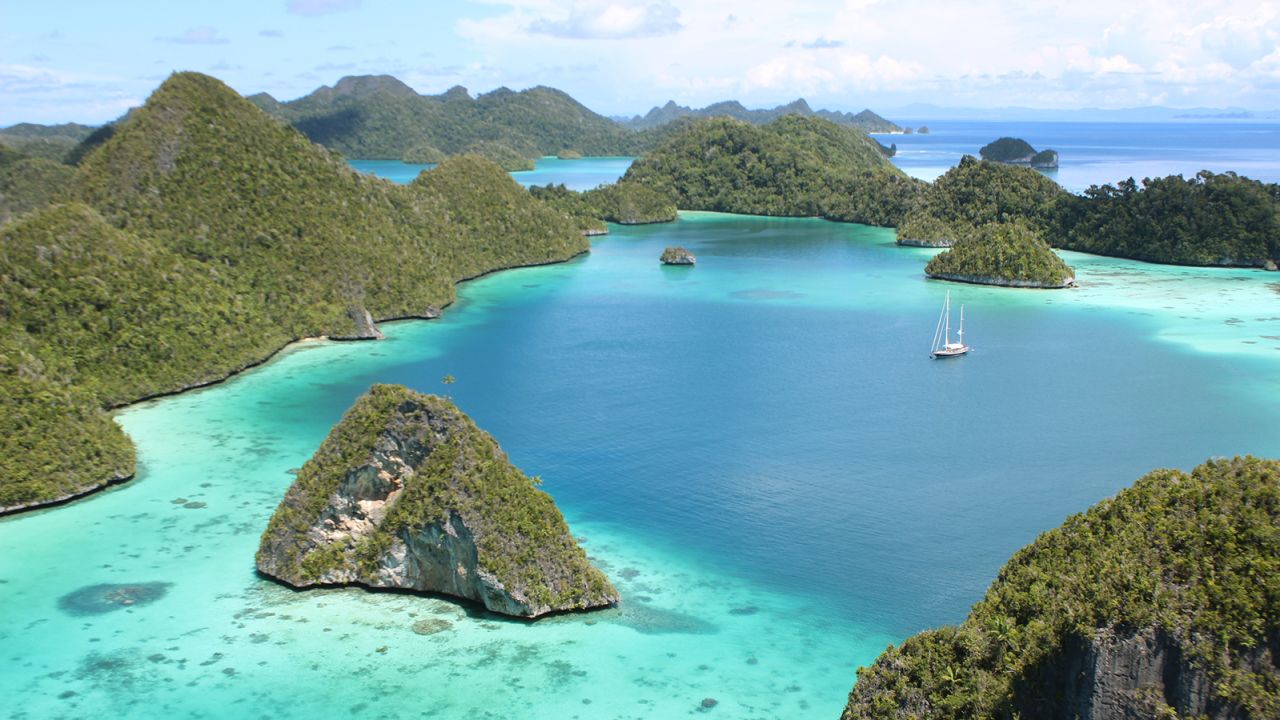 Raja Ampat is home to some of the highest marine biodiversity in the world.