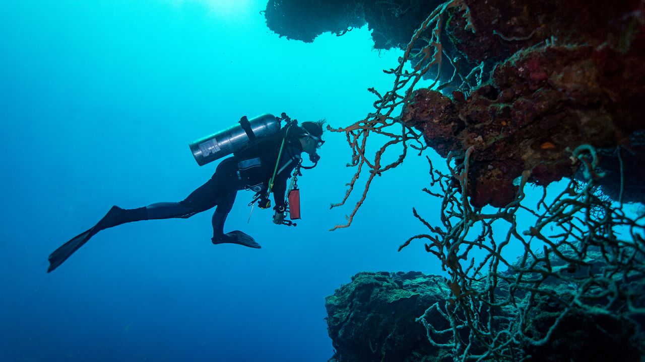 <strong>Solomon Islands:</strong> This remote South Pacific nation was a major battleground in the Pacific Theater during World War II, so there's a lot to explore underwater.