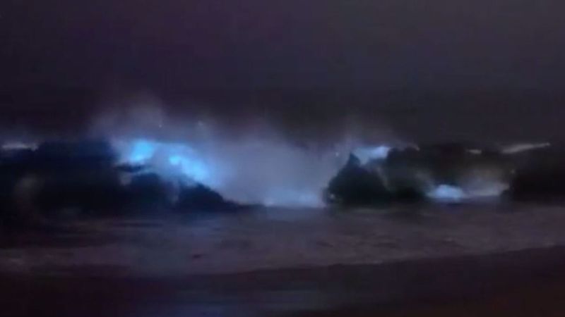 Neon blue waves crashed in a bioluminescence show caught on tape | CNN