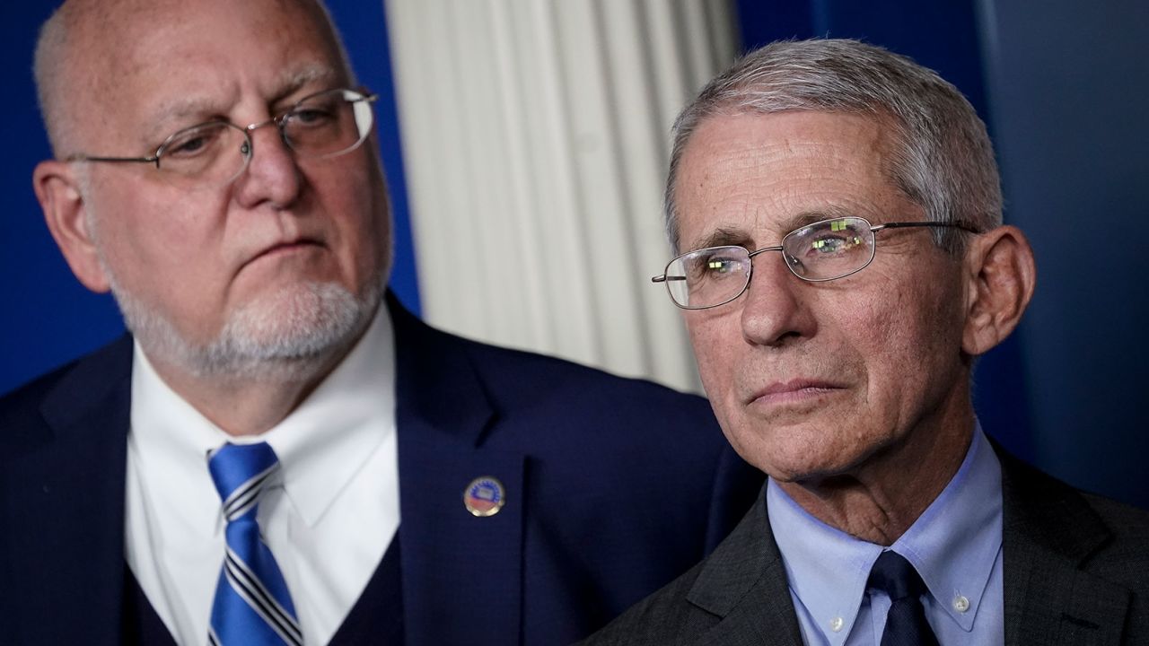 CDC Director Robert Redfield and Dr. Anthony Fauci, director of the National Institute of Allergy and Infectious Diseases, attend a briefing on the administration's coronavirus response.  (Photo by Drew Angerer/Getty Images)
