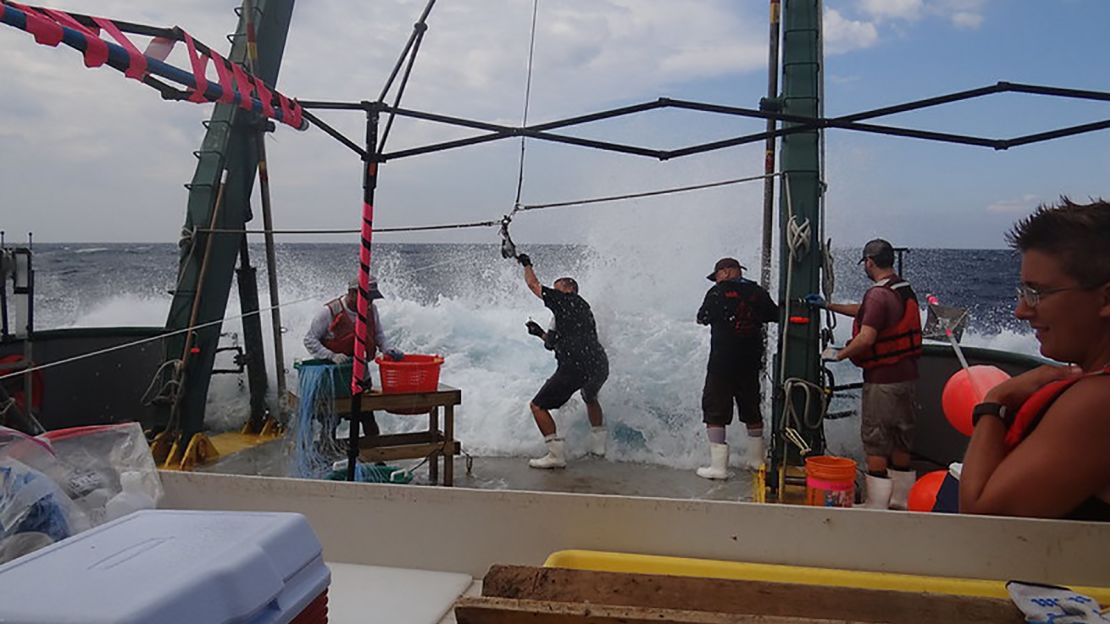Steve Murawski has spent 10 years testing for oil pollution in the Gulf of Mexico.