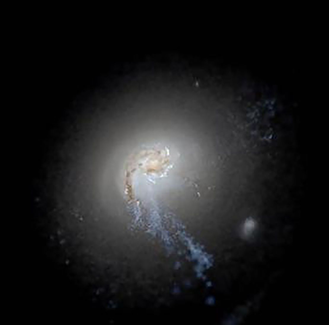 This is a simulated image of a galaxy that shows young stars kicked towards the galaxy's outer halo by supernovae. 