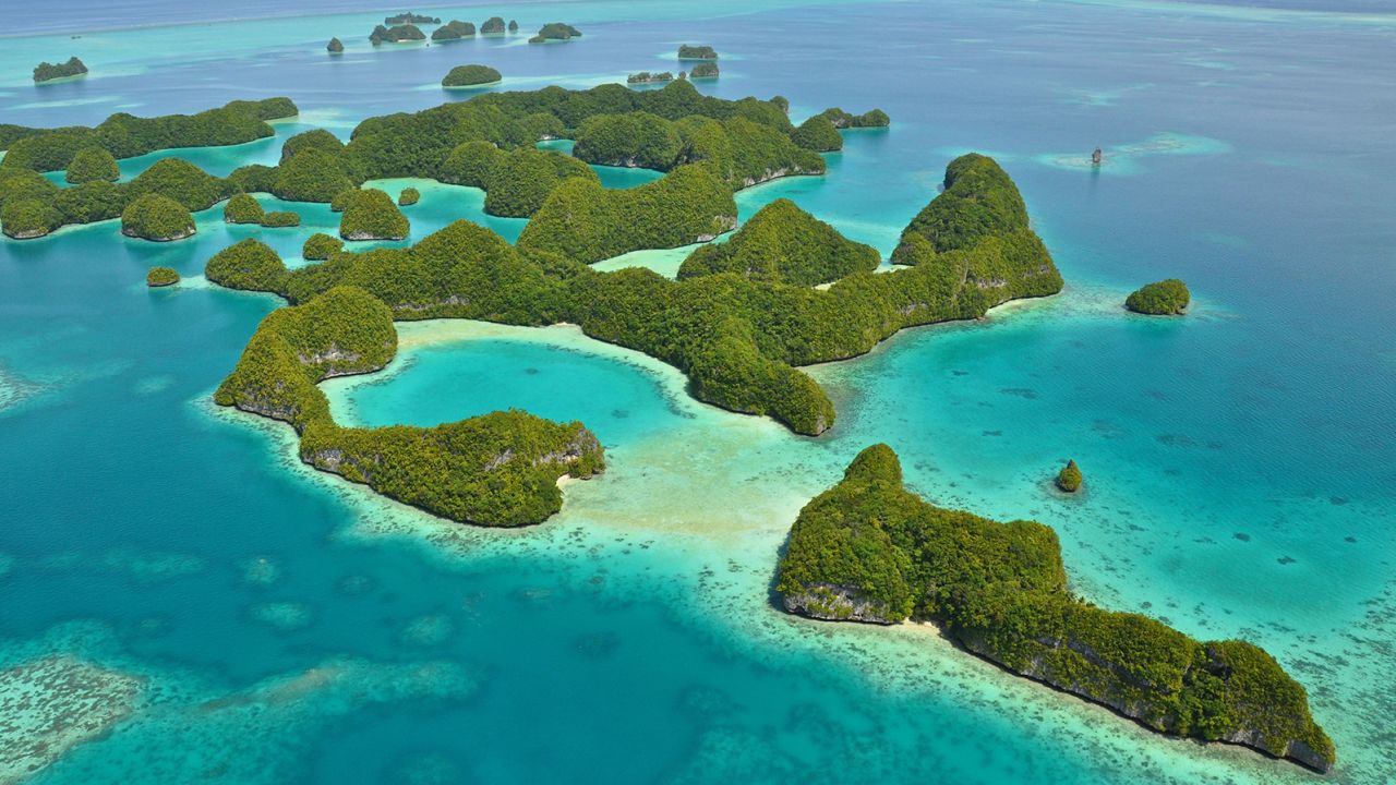 Palau's aerial view is a showstopper. Its underwater world is equally engaging.