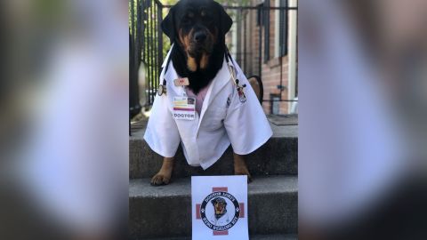 Loki the therapy "dogtor" poses in front of a "Hero Healing Kit."