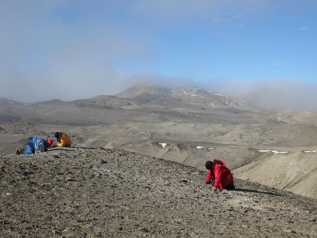 Palaeontologists at the frog site on Seymour Island.