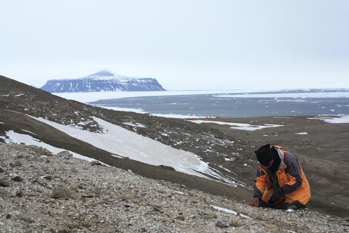 Palaeontologists at the frog site on Seymour Island. Mors said that curious penguins would come and watch them work.