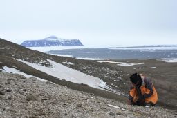 Palaeontologists at the frog site on Seymour Island. Mors said that curious penguins would come and watch them work. 