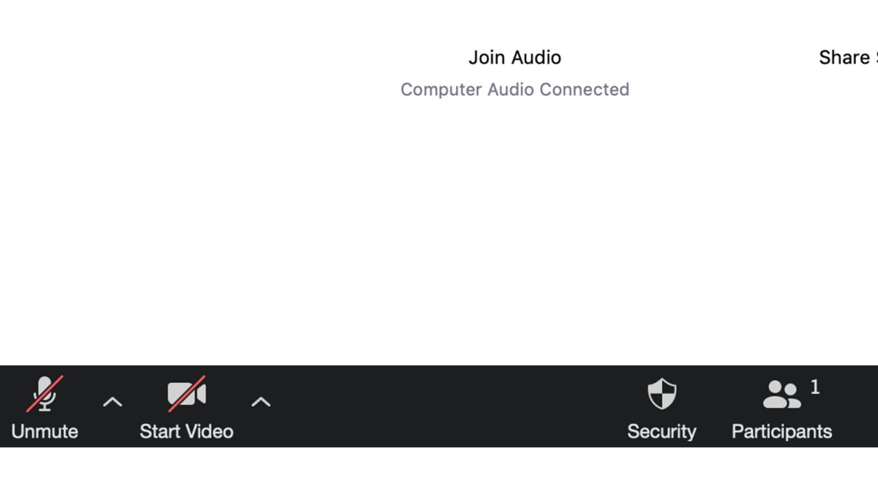 Click the microphone to toggle mute