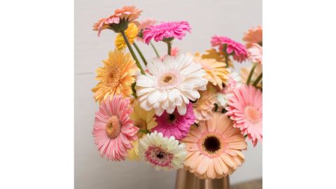 Daisy Chain
