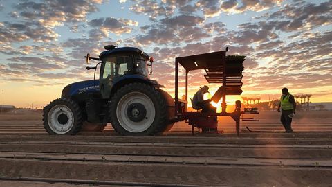 A tractor is seen on McClendon Selects, an organic family farm in Peoria, Arizona.