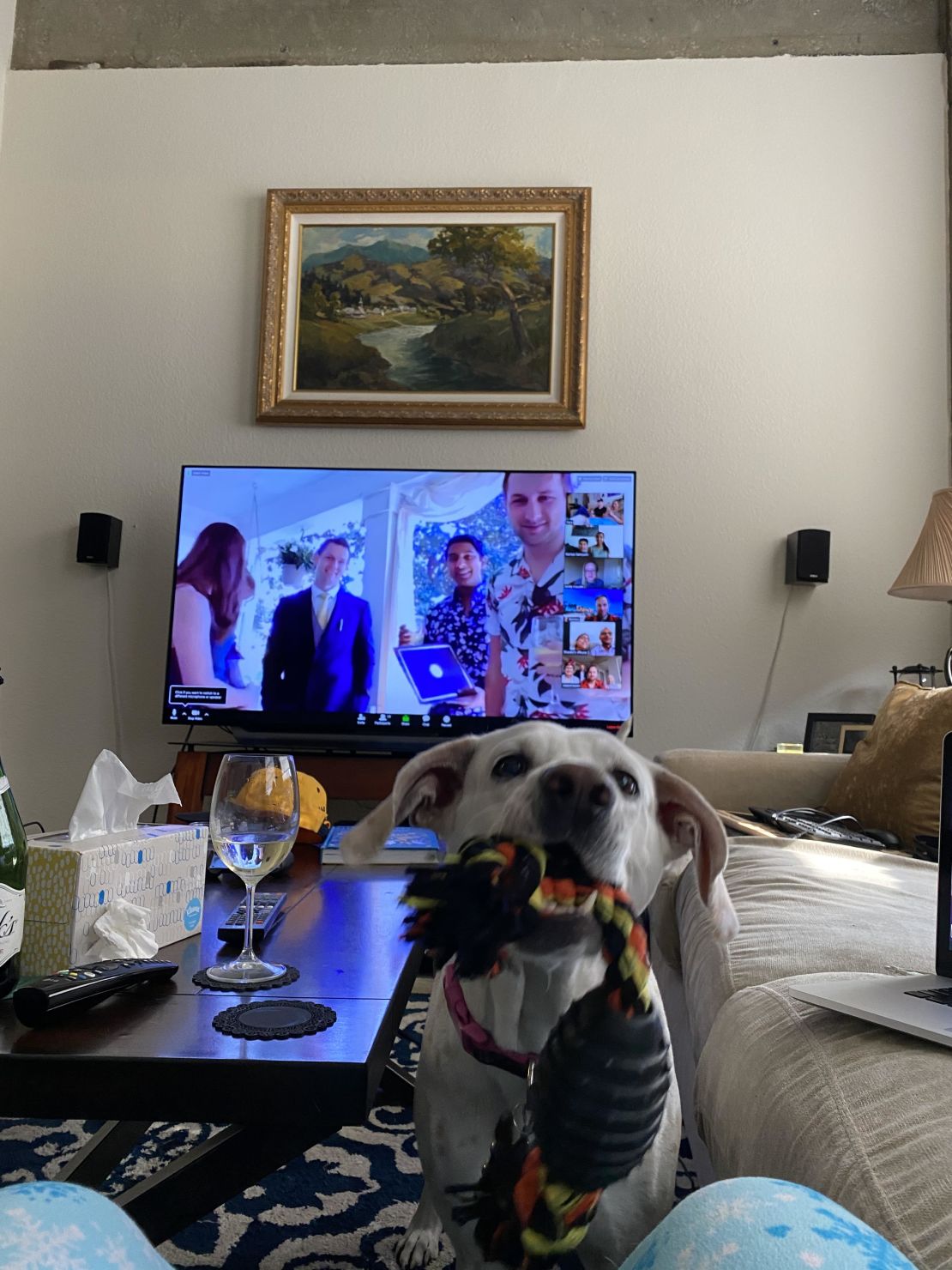 From a Zoom happy hour to a Zoom wedding: the grooms' friend Yara Klimchak and her dog Ember participate from Kansas City, Missouri.