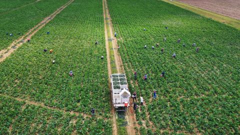 Some farmers fear their businesses won't make it through this crisis.