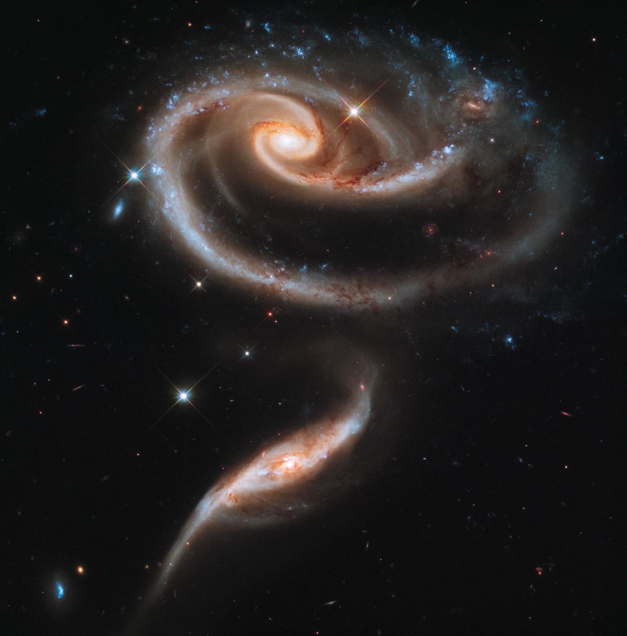 Hubble captured this image of a group of interacting galaxies called Arp 273. The bigger galaxy has a center disk that is distorted into a rose-like shape by the pull from its partner below.