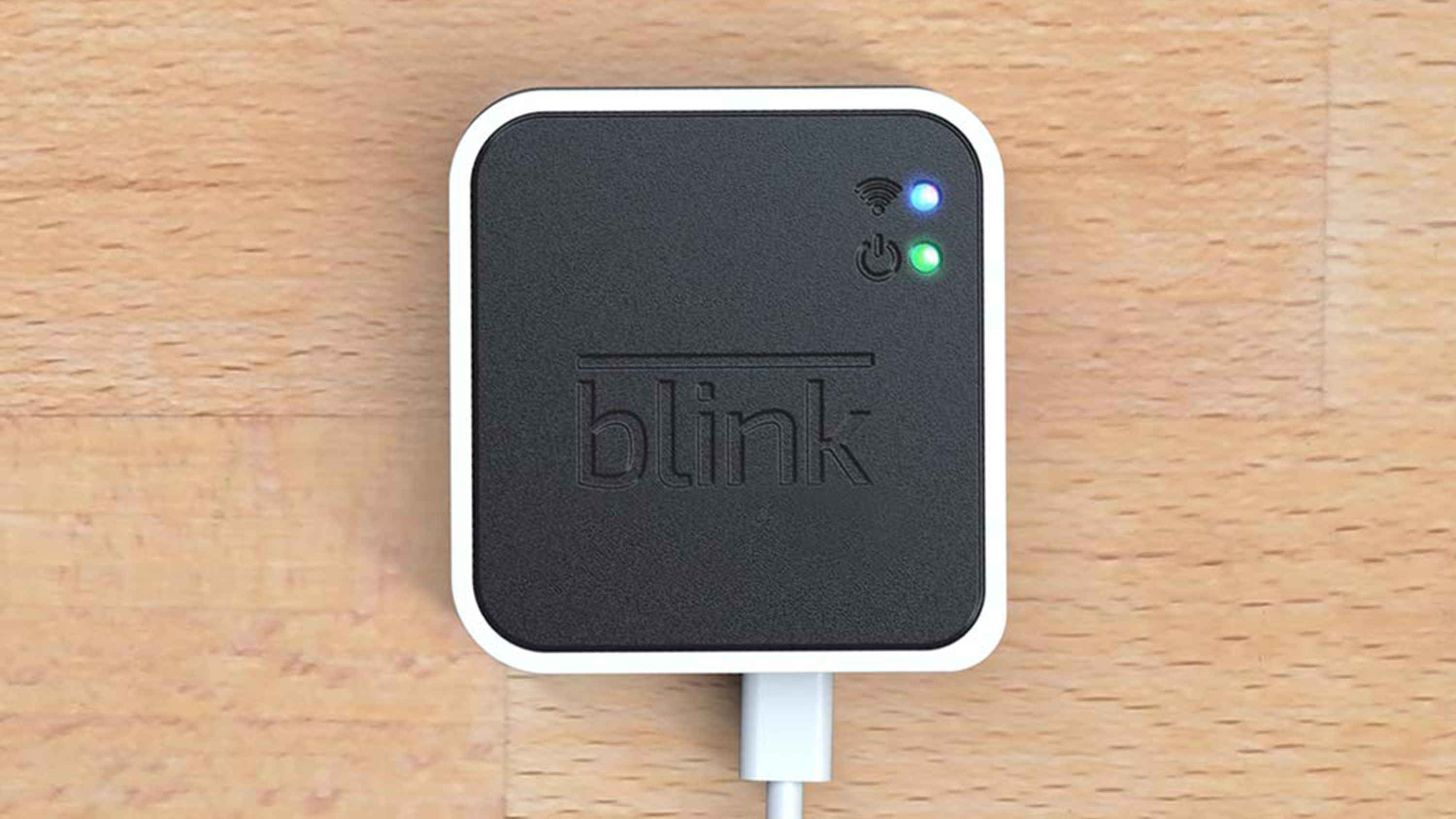 Blink Mini Review: Slim On Features, Light On Price