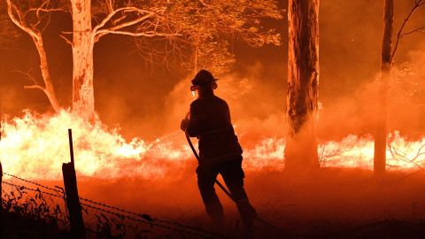 A firefighter hoses down trees and flying embers from bushfires in New South Wales.