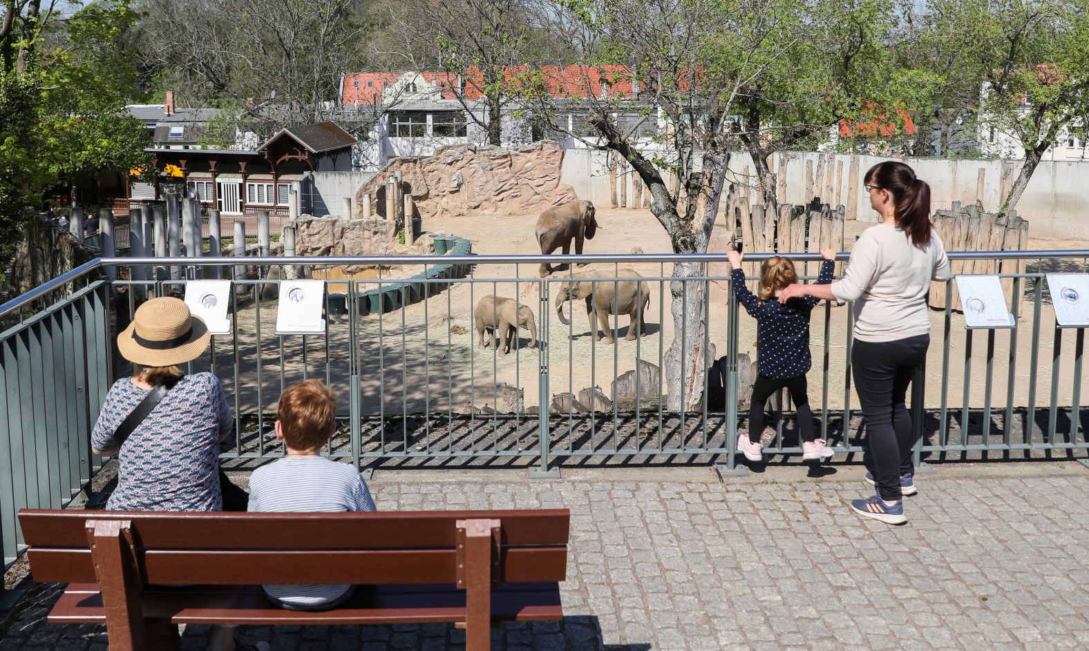 Visitors maintain their distance outside the elephant enclosure at Bergzoo Halle in Saxony-Anhalt, Germany, on April 23. Under strict conditions, zoos in Saxony-Anhalt were allowed to reopen after being closed for several weeks.