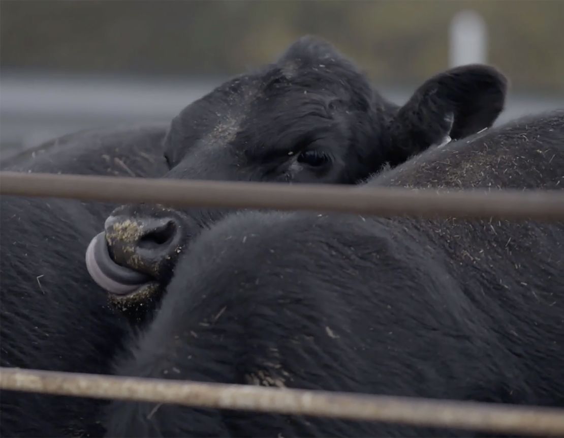 Scott Blubaugh's farm has been in the family for six generations.