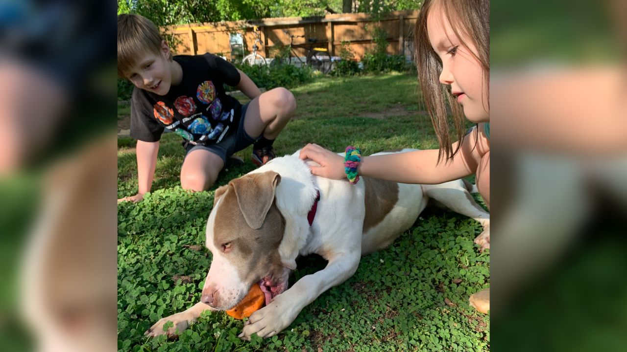 Gresham kids, Henry and Hazel, playing with their new dog, Penny.