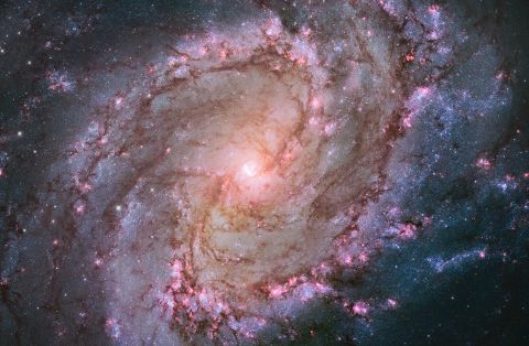 M83 is a nearby spiral galaxy, and this 2014 Hubble image showcases its thousands of clusters of stars and supernova remnants. The young stars can be seen in pink bubbles of hydrogen gas.