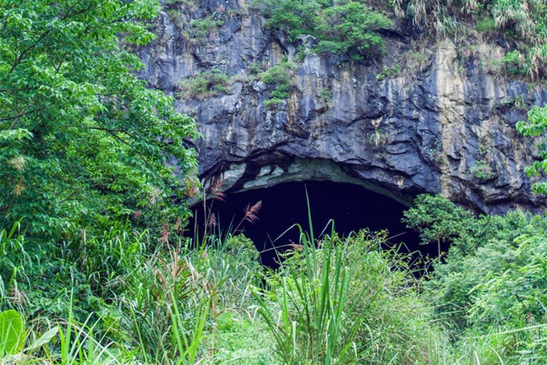 The entrance to one of the caves in a vast limestone cave system in Yunnan province, China, which Eco Health Alliance has been exploring for over 10 years.