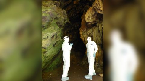 To catch the bats, EcoHealth Alliance's scientists have to set up nets at the entrance of the cave. To avoid any contact with the bats, they wear hazmat suits, a respirator and gloves.