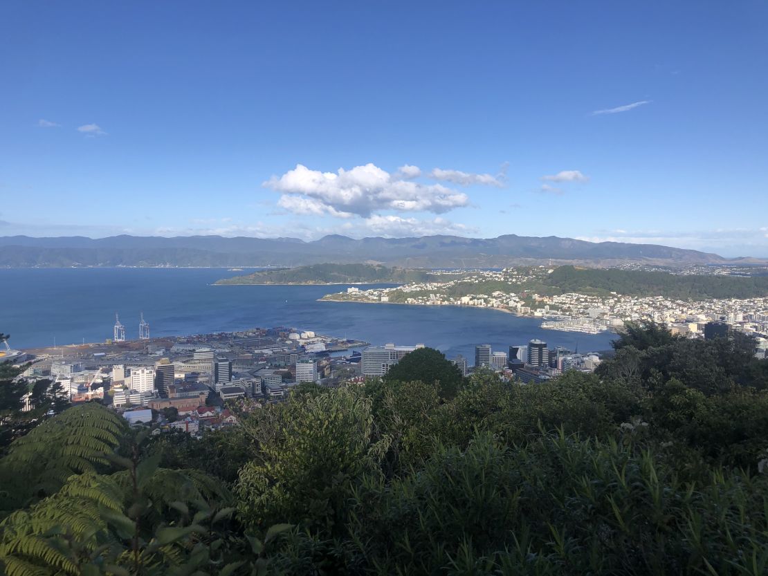 A view of Wellington, New Zealand, during the country's nationwide lockdown. 