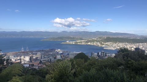 A view of Wellington, New Zealand, during the country's nationwide lockdown. 