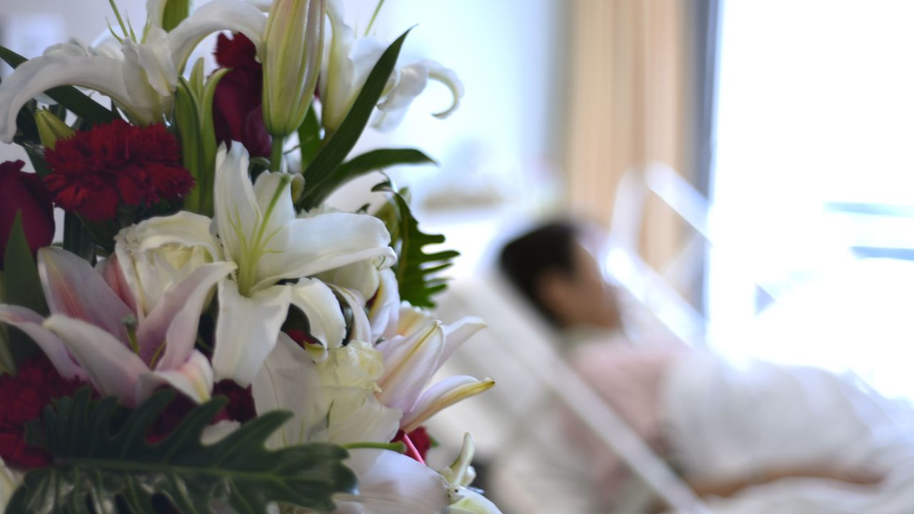 flowers hospital room STOCK