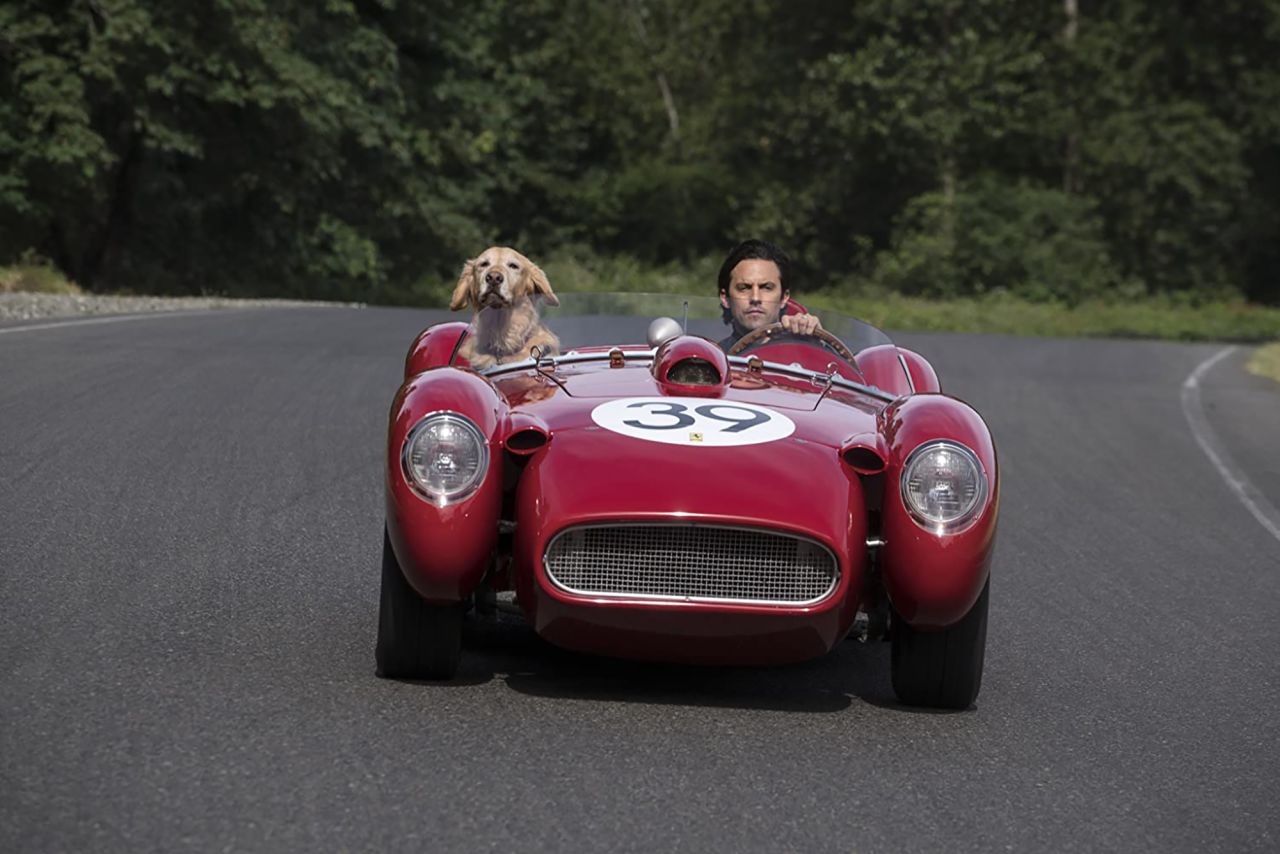 <strong>"The Art of Racing in the Rain"</strong>: Through his bond with his owner, aspiring Formula One race car driver Denny, golden retriever Enzo learns that the techniques needed on the racetrack can also be used to successfully navigate life. <strong>(HBO Now) </strong>