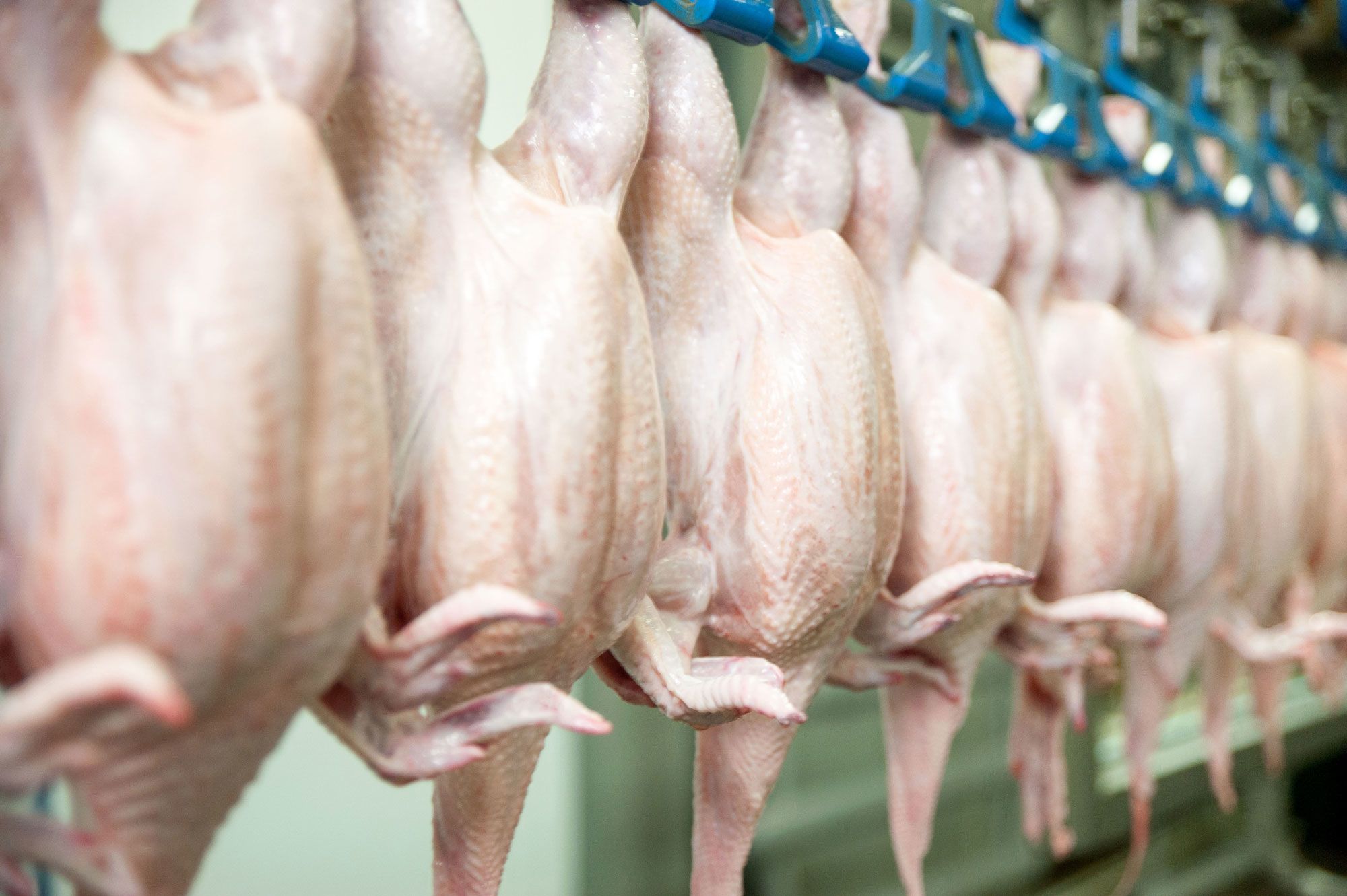 Should You Wash Chicken Before Cooking? The Experts Answer