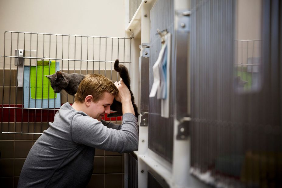 Adam Bohn, a junior mechanical engineering student at Iowa State University, plays with Aries, a 1.5-year-old domestic shorthair cat before adopting him."It was getting lonely at home," Bohn said.