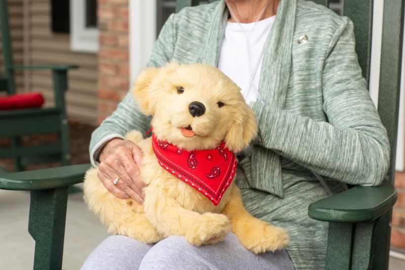 Robot pets sales for seniors