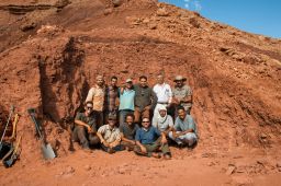 The September 2018 team that unearthed the tail of the only associated Spinosaurus skeleton in existence. Left to right, and top to bottom: Simone Maganuco, Ayoub Amane, M'Barek Fouadassi, Nizar Ibrahim, Samir Zouhri, Cristiano Dal Sasso, Gabriele Bindellini, Marco Auditore, Matteo Fabbri, Diego Mattarelli, Hamid Azroal, Mhamed Azroal.