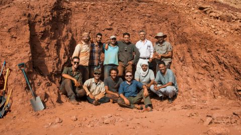 The September 2018 team that unearthed the tail of the only associated Spinosaurus skeleton in existence. Left to right, and top to bottom: Simone Maganuco, Ayoub Amane, M'Barek Fouadassi, Nizar Ibrahim, Samir Zouhri, Cristiano Dal Sasso, Gabriele Bindellini, Marco Auditore, Matteo Fabbri, Diego Mattarelli, Hamid Azroal, Mhamed Azroal.