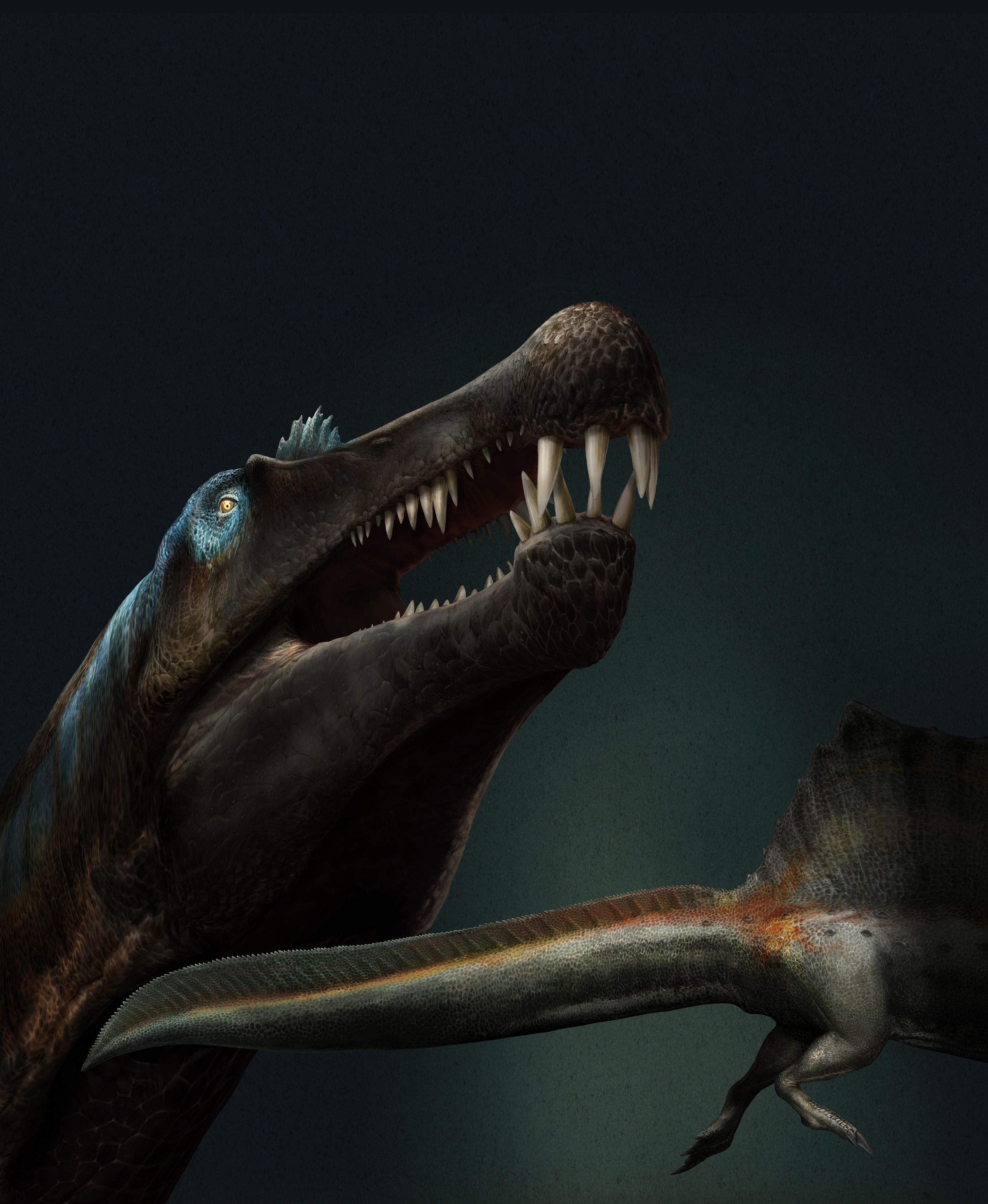 What Was the Most Dangerous Carnivorous Dinosaur?