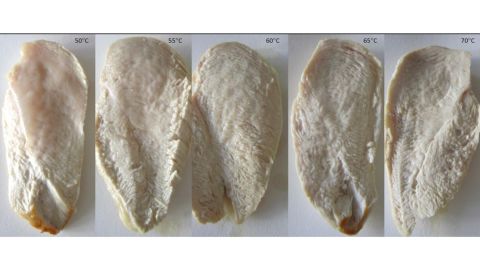 These chicken fillets were cooked to different temperatures.