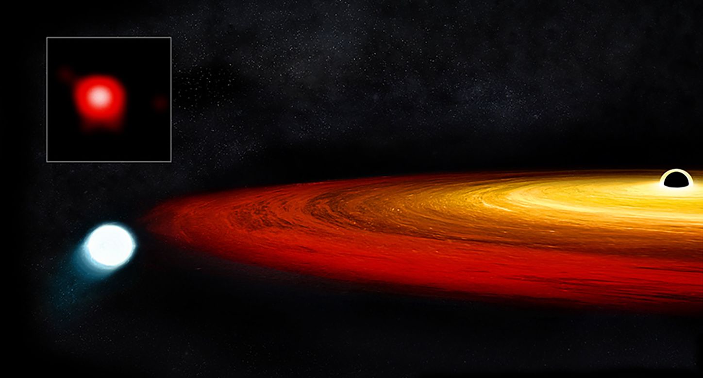 This illustration shows a star's core, known as a white dwarf, pulled into orbit around a black hole. During each orbit, the black hole rips off more material from the star and pulls it into a glowing disk of material around the black hole. Before its encounter with the black hole, the star was a red giant in the last stages of stellar evolution.