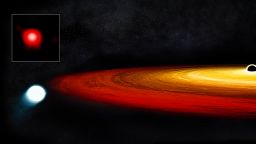Illustration of Black Hole & White Dwarf
Data from Chandra and XMM-Newton indicate that a star survived a close call with a black hole. As a red giant star approached a supermassive black hole in the galaxy GSN 069, it was caught in the black hole's gravity. Once captured, the red giant's outer layers were stripped off, leaving the core of the star — known as a white dwarf — behind. The white dwarf then enters an elliptical, 9-hour-long orbit around the black hole, as depicted in this artist's illustration. At closest approach, the black hole pulls matter from the white dwarf onto a surrounding disk.
(Credit: X-ray: NASA/CXO/CSIC-INTA/G.Miniutti et al.; Illustration: NASA/CXC/M. Weiss;)
