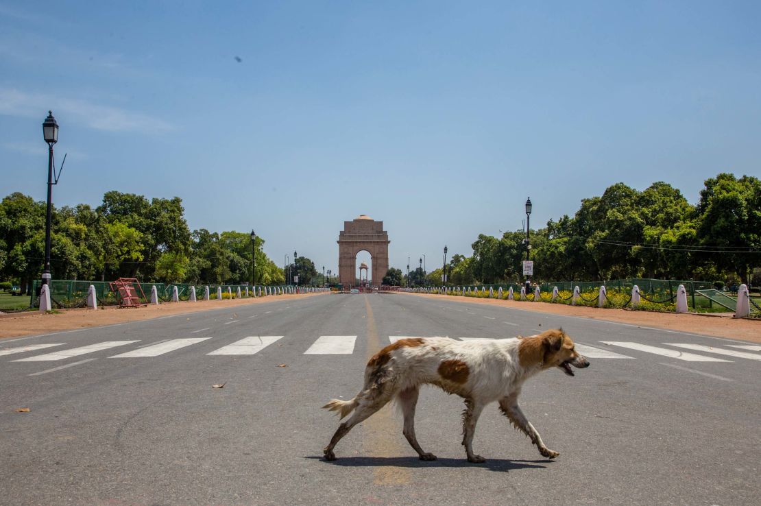 A stray dog walks in front of an empty historic India Gate on March 30, 2020 in New Delhi, India. 