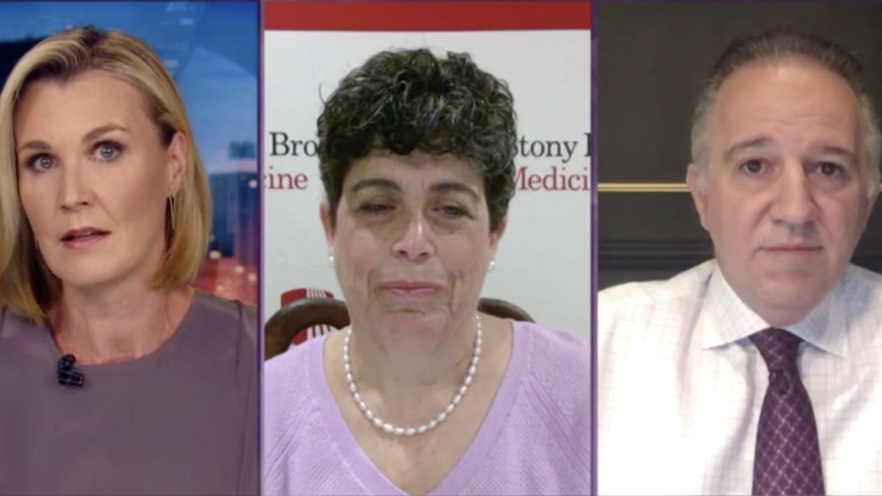 A screenshot of Robyn Curnow interviewing two scientists trialling estrogen as a potential treatment for Covid-19