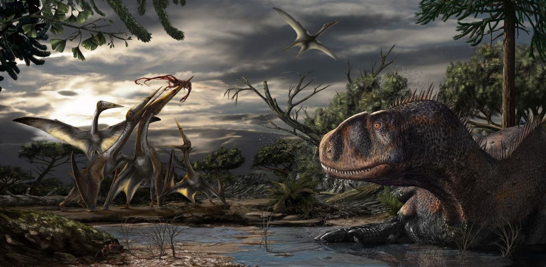 An abelisaur, a predatory dinosaur, rests while several pterosaurs fight over leftovers from a carcass. Artwork by Davide Bonadonna, under the scientific supervision of Simone Maganuco and Nizar Ibrahim.
