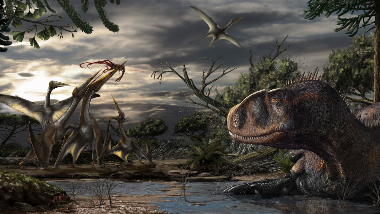 An abelisaur, a predatory dinosaur, rests while several pterosaurs fight over leftovers from a carcass. Artwork by Davide Bonadonna, under the scientific supervision of Simone Maganuco and Nizar Ibrahim.
