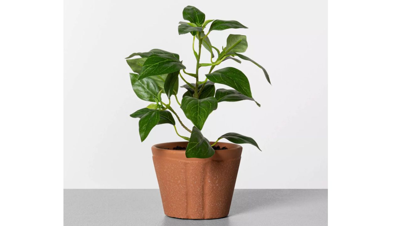 Hearth & Hand with Magnolia Faux Pepper Plant