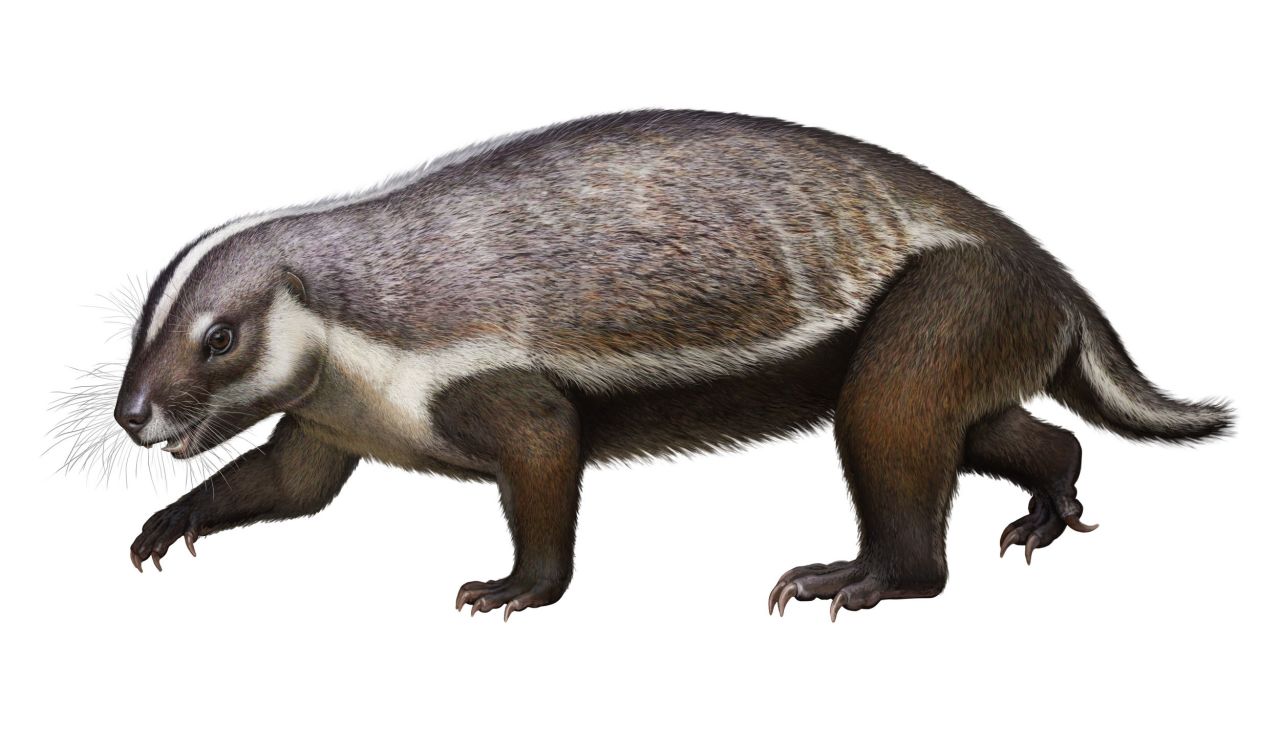 <strong>Crazy beast: </strong>An artist's impression of Adalatherium, a bizarre mammal dubbed "crazy beast" and first described in 2020 is shown here. It would have lived among the dinosaurs and is unlike any other mammal -- extinct or living.