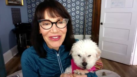 CNN Hero Sherri Franklin's senior dog rescue is working to safely place dogs in forever homes during the pandemic.