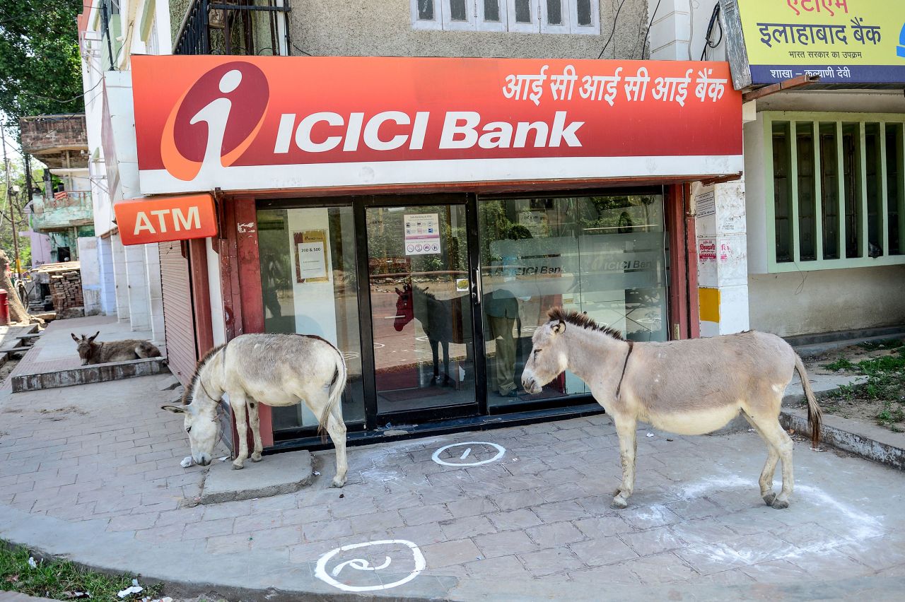Donkeys stand outside an ATM in Allahabad, India, on April 10.