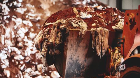 Bio-bean's process begins with decontaminating coffee grounds.