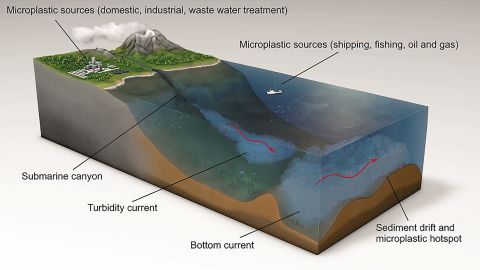 This graphic shows how microplastics are transported by currents.